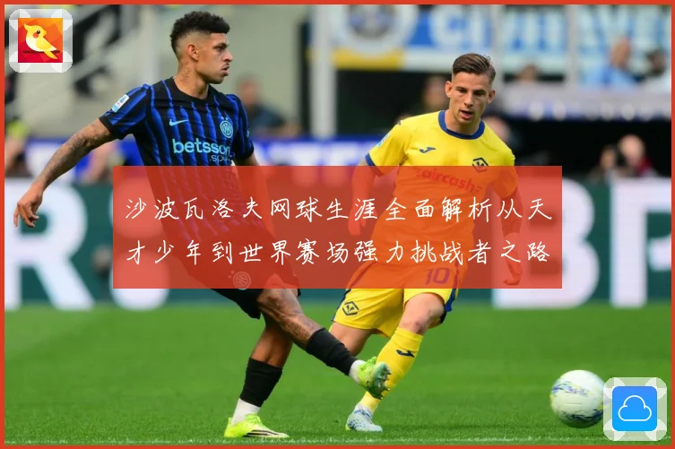 沙波瓦洛夫网球生涯全面解析从天才少年到世界赛场强力挑战者之路-深度解析